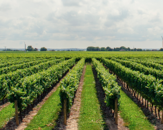 captura-de-ecra-2016-11-15-as-22-54-16